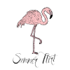 Flamingo - Summer Flirt - Comic