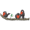 robin ties