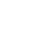 EVOLUTION POLO