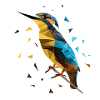 kingfisher
