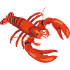 lobster