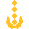 General Dienstgrad