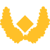 Brigadegeneral Dienstgrad