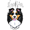 Sheltie Dog Cute 6
