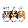Shelties sont les meilleurs