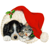 christma s617