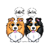 Sheltie Sheltie