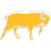 A Running Ram