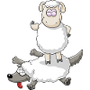 Victory of the sheep