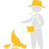 Farmer Feeding The Chickens