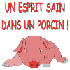 Porcitive Attitude