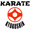 Karate Kyokushin