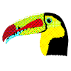Toucan Bird