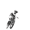 Shredder timebike