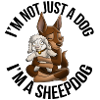 Kelpie Mouton Chocolate Fire