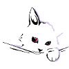 chat cat