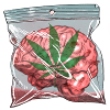 Brain