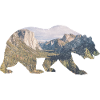 Rocky Mountains Bär