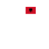 EKG heartbeat Albania