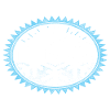 FISS winter mountains