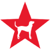 Magyar Vizsla Pedigree dog