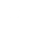 Original 100% Schwinger! 1.0