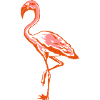 flamingo