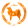 Finnische Spitzohrarmee Orange