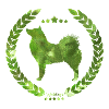 Spitz finlandais vert d'armée