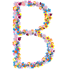 B FLOWERS