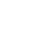Vehicle Engineer