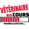 vétérinaire en cours