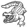 Kroko 79
