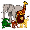 Kroko 85