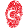 T-shirt printed "Turkish flag"