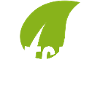 Vegan Yogi Shirt white