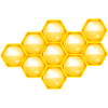 Bie 45