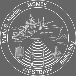 MSM66 Logo black