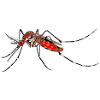 Mosqui 2