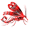 Mosqui 16