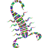 skorp 7