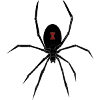 spid 26