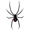 spid 48