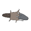 Schnabeltier 1