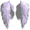 angel_wings