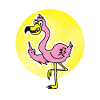 Angry Flamingo Shirt