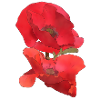 Mohn