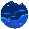 dolphins