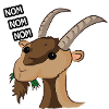 The puffy ibex