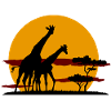girafes